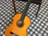 Guitarrista