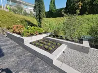 Sacher Gartenbau