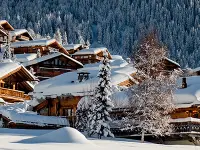 Agence immobilière - Freddy Michaud SA