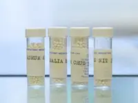 Claudio Rupp - Praxis für klassische Homöopathie Zürich