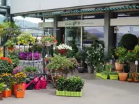 Blumen Eichenberger Horgen - Klicken Sie, um das Bild 1 in einer Lightbox vergrössert darzustellen