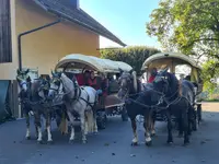 Stall Vogelsang