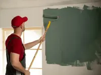 Robex Plâtrerie Peinture Robin Noirjean