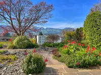 RE/MAX Immobilien Rapperswil-Jona
