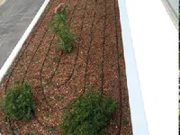 BICA GIARDINI Sagl