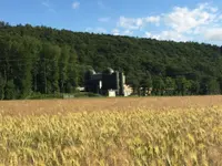 KBA Hard Kehrichtbehandlungsanlage