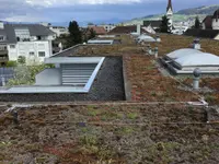 Schutzpartner AG