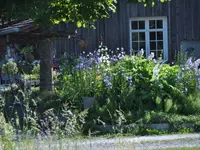 Biogärtnerei & Naturgärten Neubauer