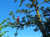 Dimi-Tree GmbH