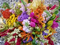 Der Blumenladen Romana Gattermann GmbH