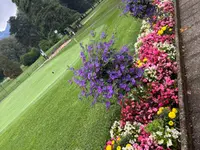 Marie France Bride Entretien de jardins - Fleurs