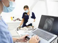 Kleintierpraxis Vivavet GmbH