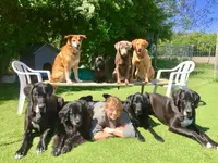 Nimalik Hundeschule & Hundepension