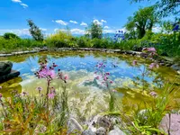 Wildblumendienst