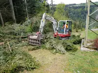 Entreprise forestière Sauser SA