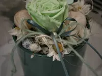 Blumen Ball GmbH