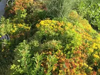 Müller Gartengestaltung GmbH