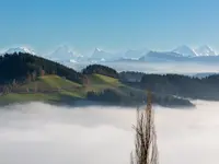 Stephan Sommer Fotografie - Klicken Sie, um das Bild 20 in einer Lightbox vergrössert darzustellen