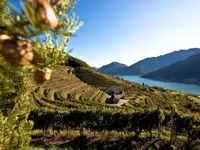 Tenuta Castello di Morcote