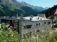 Meuli Sils