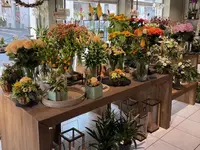 Martin's Blumenwelt