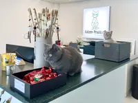 Katzen-Praxis.ch