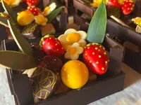 VK Chocolaterie Sàrl