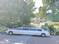 www.12taxi.ch Sommer