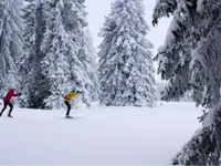 Les CJ-Chemins de fer du Jura- - Klicken Sie, um das Bild 2 in einer Lightbox vergrössert darzustellen