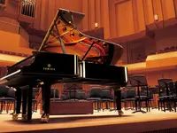 Tross Pianos - cliccare per ingrandire l’immagine 2 in una lightbox