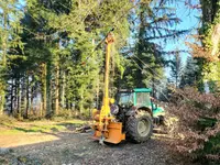 Entreprise forestière