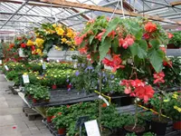 Rodigari Gartencenter