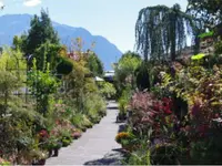 Müko Gartengestaltung Anstalt