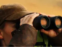 Optique Perret