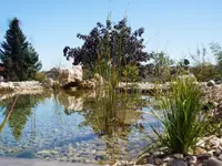 Bösiger Gartenbau AG - Klicken Sie, um das Bild 10 in einer Lightbox vergrössert darzustellen