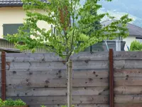 Anrig Gartenbau AG