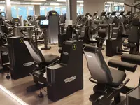 Body Fit