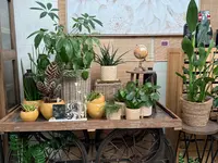 Blumen Kaspar AG