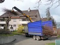 Näf Markus