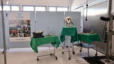 Tierklinik Leimental