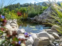 Widler Gartenbau + Floristik AG