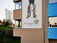Marigin Tierklinik - Zentrum für Tiermedizin
