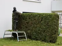 Ledergerber Gartenpflege AG