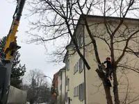Tschan Gartenbau & Gartenunterhalt GmbH