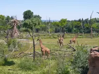 Zoo Zürich AG