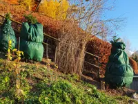 GartenTeam Inäbnit AG