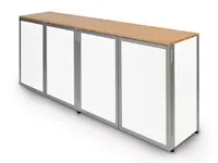 FMS-Technik AG