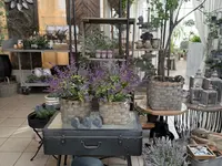 Blumen Kaspar AG