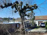 LML Jardin, Ferizi - Klicken Sie, um das Bild 3 in einer Lightbox vergrössert darzustellen