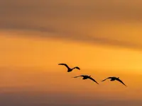 leben • begleiten • bestatten - Klicken Sie, um das Bild 5 in einer Lightbox vergrössert darzustellen